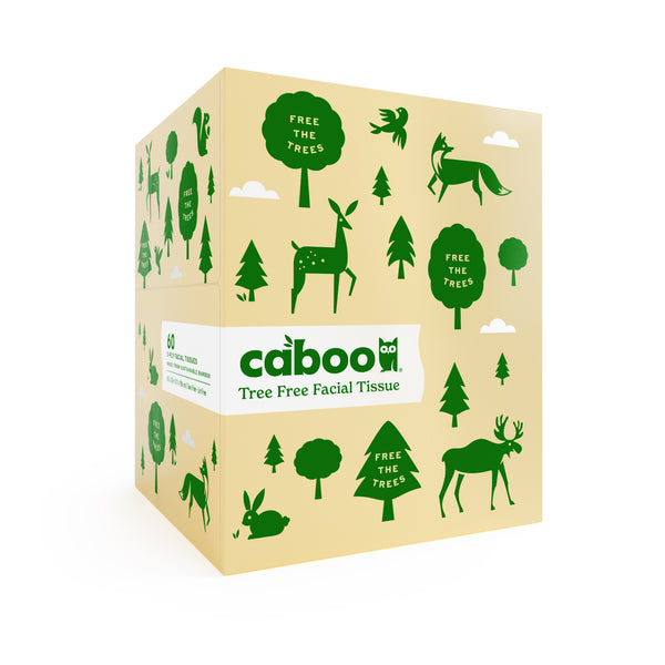 Caboo Cube Facial Tissue 60ct 3 Ply