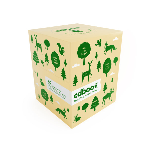 Caboo Cube Facial Tissue 60ct 3 Ply